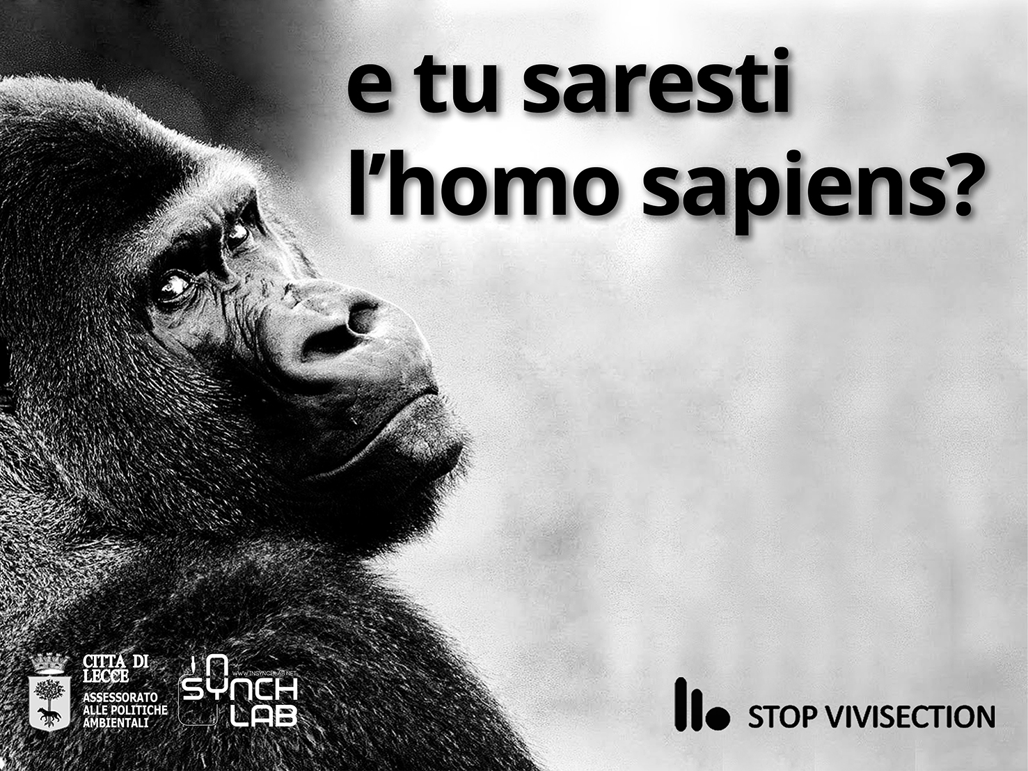 Stop vivisezione